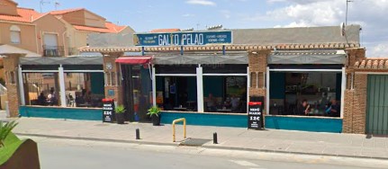 gallo Pelao