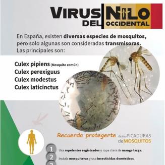 ¿Sabías que no todos los mosquitos pican igual?  
  
🦟 En el caso del Virus del Nilo Occidental, los mosquitos del género Culex son los principale...