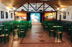 interior Peña Flamenca