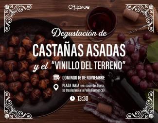 🌰🍷 ¡Vuelve una de las tradiciones más esperadas del otoño en Ogíjares!  
  
Este domingo 16 de noviembre te esperamos para disfrutar de una delic...