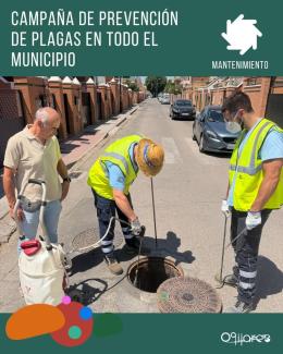 🦟🚫 Desde la Concejalía de Medio Ambiente se está desarrollando una campaña de control de plagas en distintos puntos del municipio, centrada en la...