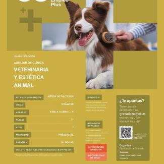 Curso gratuito de Auxiliar de Clínica Veterinaria y Estética Animal