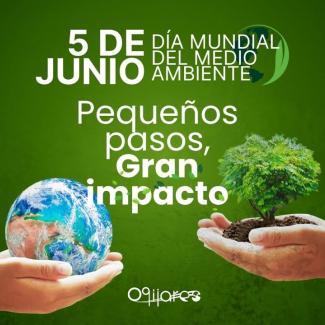 🌍 Hoy celebramos el Día Mundial del Medio Ambiente recordando que los pequeños pasos pueden lograr un gran impacto.  
  
♻️ Reciclar, reducir, reu...