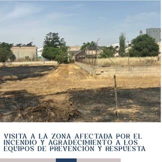 🚨 VISITA A LA ZONA AFECTADA POR EL INCENDIO  
  
El alcalde y el concejal de Medio Ambiente han visitado los solares colindantes al Polígono Tecno...