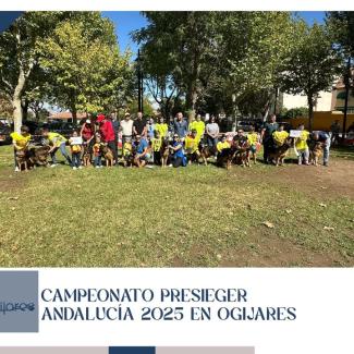 🏆 Presieger Andalucía Ogíjares 2025 ha vuelto a llenar nuestro municipio de pasión, entrega y excelencia canina.  
  
🐕 Más de 150 participantes ...