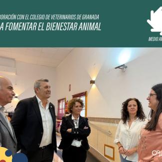 🐾 Ogíjares avanza en el bienestar animal  
  
Nos preparamos para la firma de un convenio de colaboración con el Colegio Oficial de Veterinarios d...
