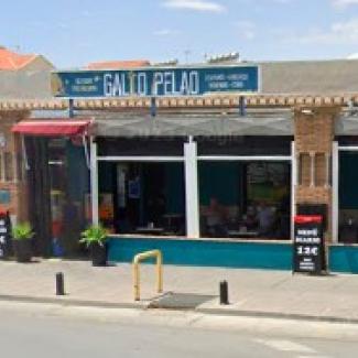 gallo Pelao