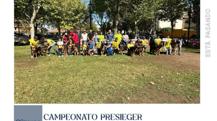 🏆 Presieger Andalucía Ogíjares 2025 ha vuelto a llenar nuestro municipio de pasión, entrega y excelencia canina.  
  
🐕 Más de 150 participantes ...
