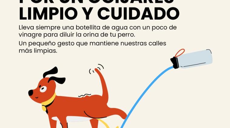 🐾 Mantener Ogíjares limpio y bonito es tarea de todos.  
  
Nuestros perros son parte de la familia y disfrutar de pasear con ellos por nuestras c...