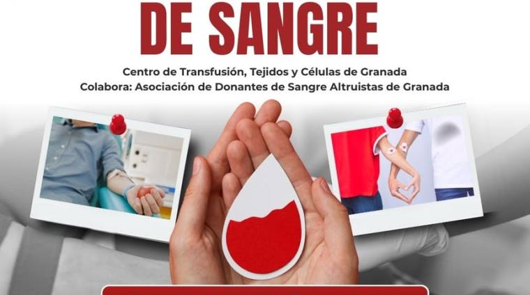 🩸 Donación de Sangre en Ogíjares  
  
El próximo 5 de febrero tienes una cita solidaria en Ogíjares ❤️. Dona sangre y ayuda a salvar vidas con un ...
