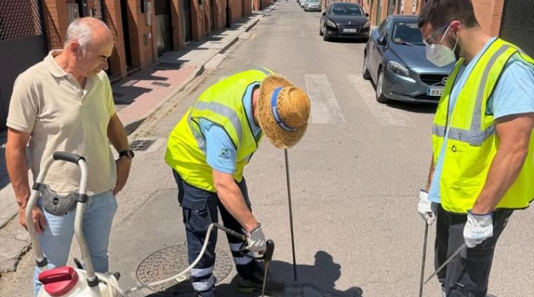 🦟🚫 Desde la Concejalía de Medio Ambiente se está desarrollando una campaña de control de plagas en distintos puntos del municipio, centrada en la...